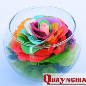 Hoa hồng 7 màu - Hoa hồng bất tử - The rose garden