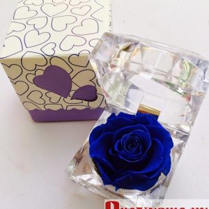 Hoa hồng xanh bất tử món quà ý nghĩa dành tặng người ấy