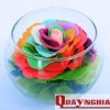 Hoa hồng 7 màu - Hoa hồng bất tử - The rose garden